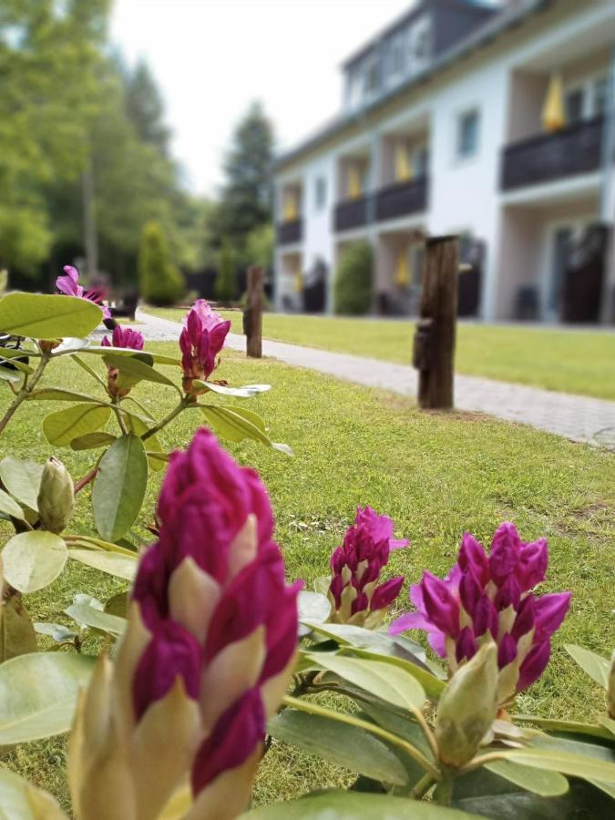 Gaestehaus Falkenhof Westensee 외부 사진